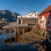 Housing at the See