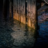 Wood & Water