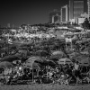 In the Shade