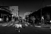 Jaffa's Streetlife