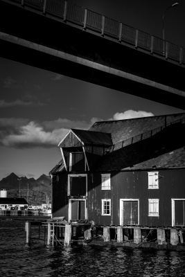 Under the bridge