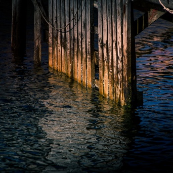 Wood & Water