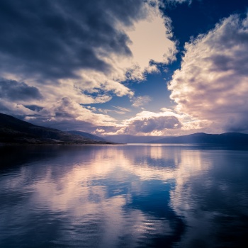 Reflect