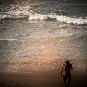 Waves and Curves