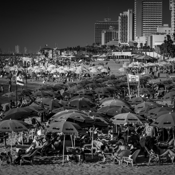 In the Shade
